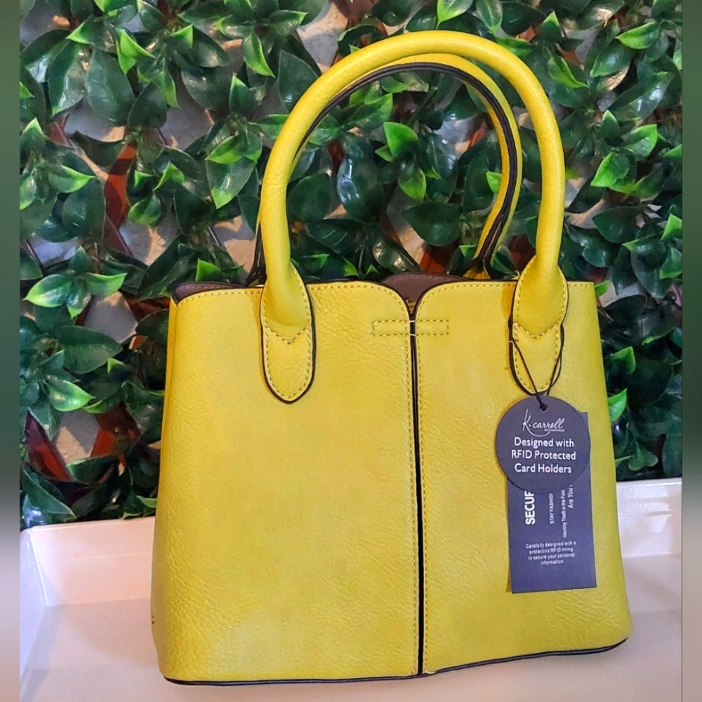 NEW K. Carroll Purse